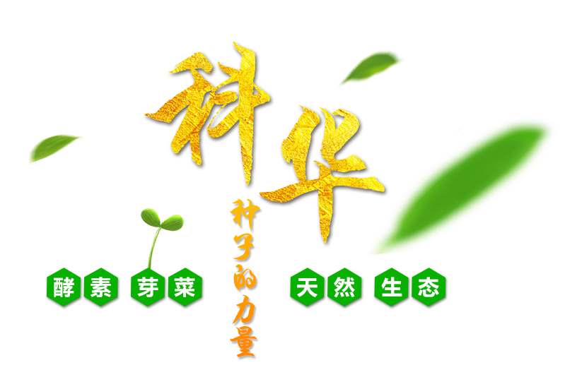 濰坊科華豆芽機(jī)有限公司_種子的力量